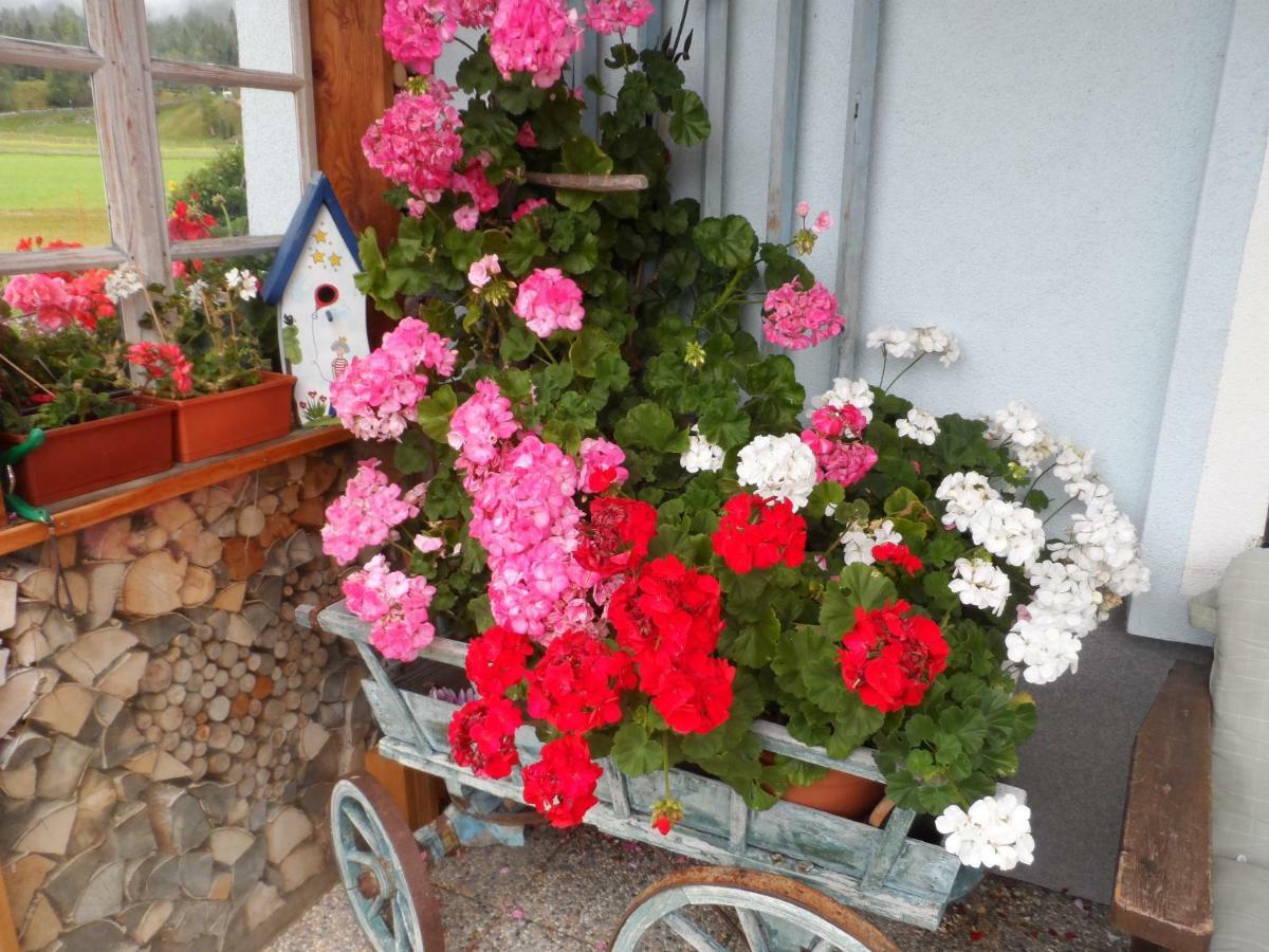 Haus Am Wiesenrain Leutasch Kültér fotó